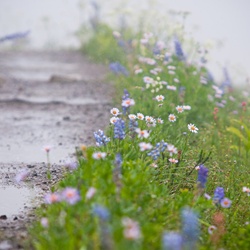 dailyPhoto36