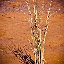 dailyPhoto5