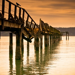 dailyPhoto37