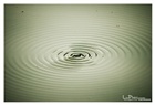 dailyPhoto1