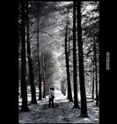 photo1