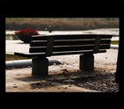 dailyPhoto20