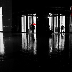 dailyPhoto39