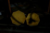 dailyPhoto2