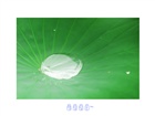 dailyPhoto9