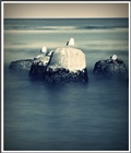 dailyPhoto7