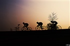 dailyPhoto6