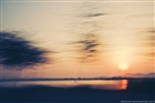 dailyPhoto9