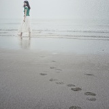 dailyPhoto37