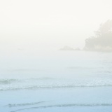 dailyPhoto5