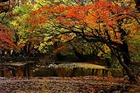photo1