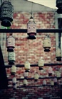dailyPhoto15