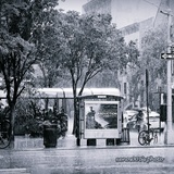 dailyPhoto12