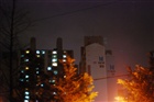 dailyPhoto37