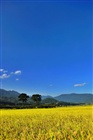 dailyPhoto7