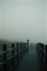 dailyPhoto14