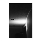 dailyPhoto6