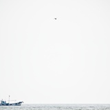dailyPhoto3