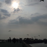 dailyPhoto39