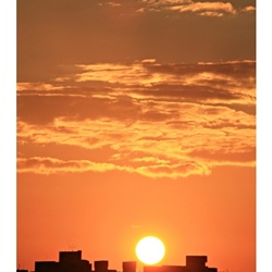 dailyPhoto20