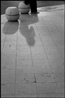 dailyPhoto20