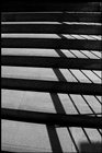dailyPhoto10