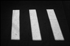 dailyPhoto40