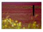 dailyPhoto4