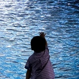 dailyPhoto26