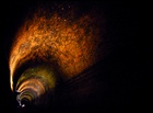 dailyPhoto40