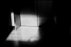 dailyPhoto38