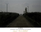 dailyPhoto35