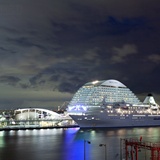 dailyPhoto12