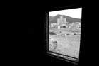dailyPhoto1