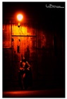 dailyPhoto8