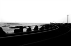 dailyPhoto32