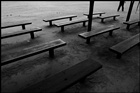 dailyPhoto39