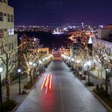 dailyPhoto25
