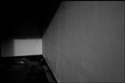 dailyPhoto20