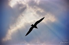 dailyPhoto1