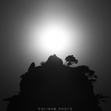 dailyPhoto40