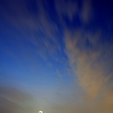dailyPhoto37