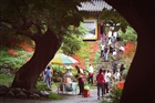 dailyPhoto32