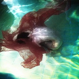 dailyPhoto34