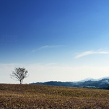 dailyPhoto4