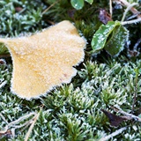 dailyPhoto6