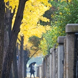 dailyPhoto37