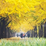 dailyPhoto5