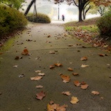 dailyPhoto9