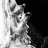 dailyPhoto5